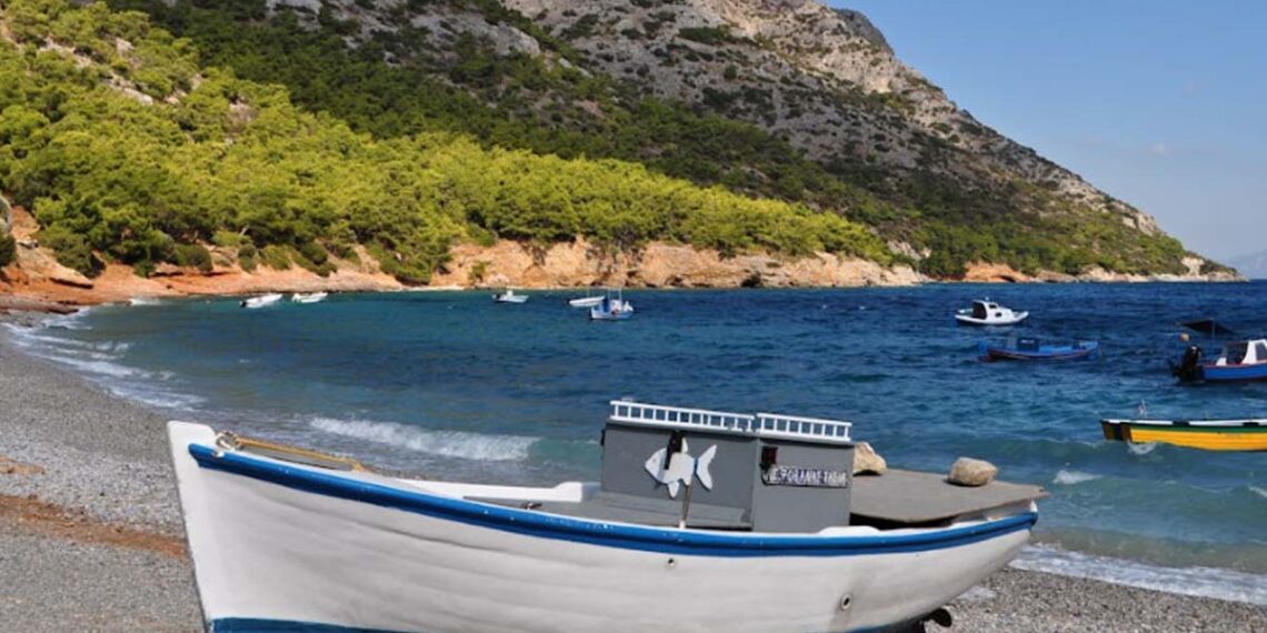 Πηγή φωτογραφίας: pexels.com/Leo Pekaar
